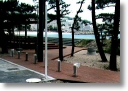 work-way decking01.jpg
